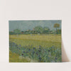 View of Arles with Irises (1888) by Vincent van Gogh