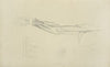 View of musculature of the arm