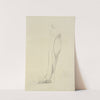 View of musculature of the leg by M.A. Nattali