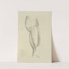 View of musculature of the upper leg and buttock by M.A. Nattali