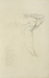 View of right arm and side of torso from the back