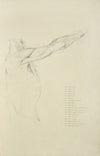 View of right arm and side of torso from the side