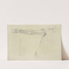 View of right arm and side of torso by M.A. Nattali