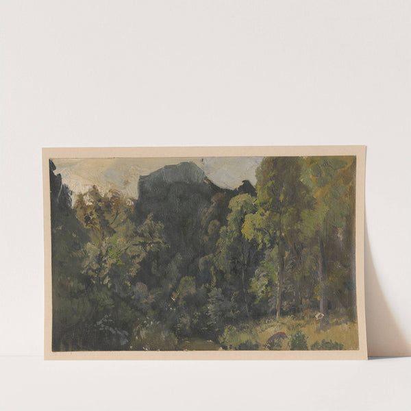 View of streamside marshland in the Szczawnik valley (1850-1881) by Adolf Dressler