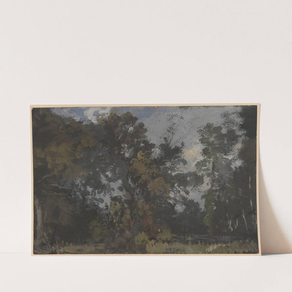 View of trees by the River Barycz (1850-1881) by Adolf Dressler