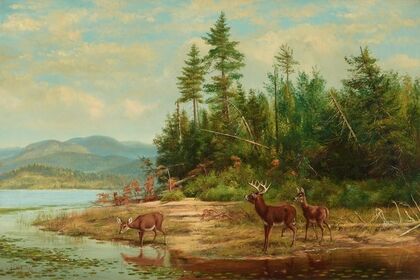 View on Long Lake (1881)