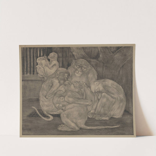 Vijf apen in een hok by Theo van Hoytema