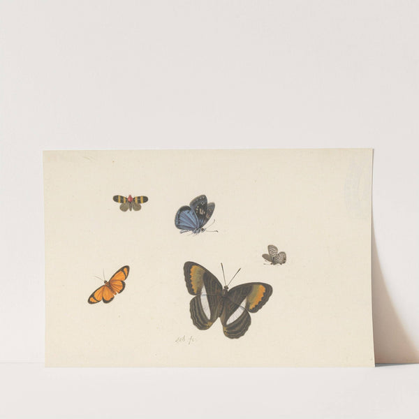 Vijf vlinders by Herman Henstenburgh