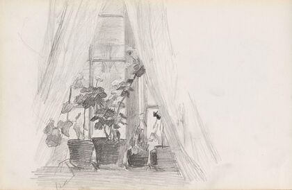 Vindu med blomster