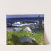 Vine Clad Shore-Monhegan Island by George Wesley Bellows