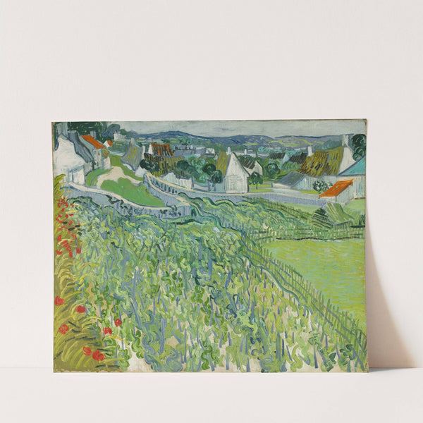 Vineyards at Auvers (1890) by Vincent van Gogh