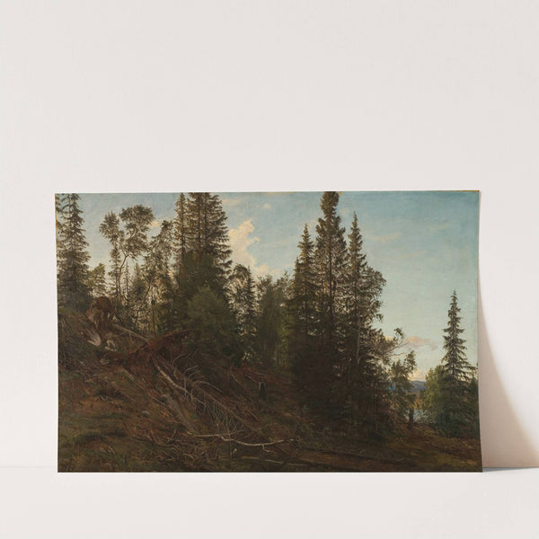 Vingeråsheia, Telemark by Amaldus Nielsen