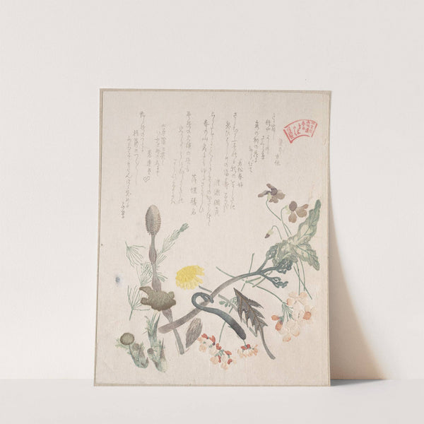 Violets, Primroses and Other Spring Flowers by Kubo Shunman