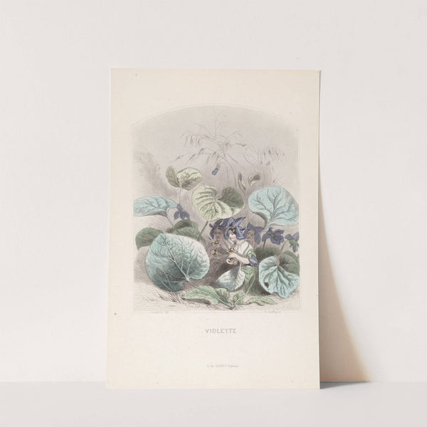 Violette by J. J. Grandville