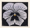 Viool (1920)