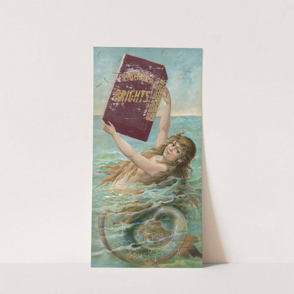 Virgin Brights Cigarettes by Anonymous