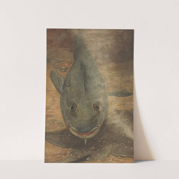 Vis van voren gezien by Willem Witsen