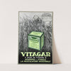 Vitagar (1936)