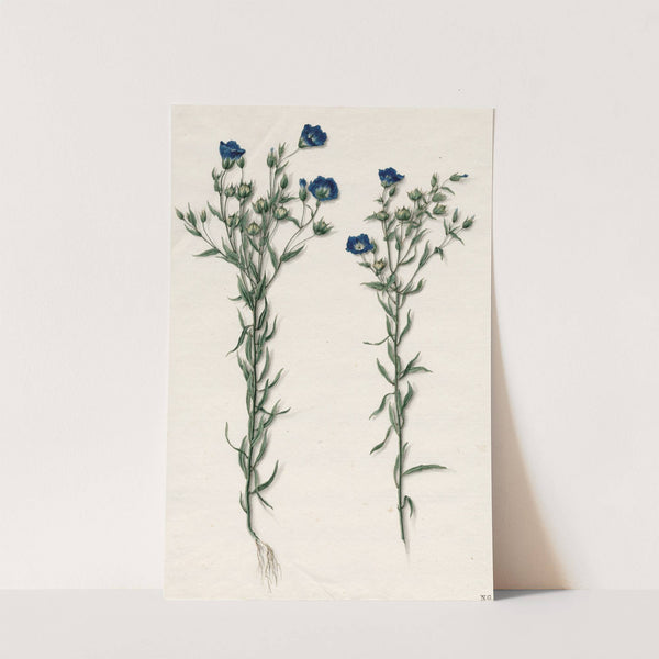 Vlas by Barend Hendrik Thier