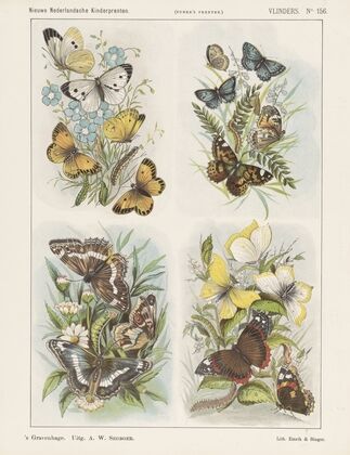 Vlinders (1875-1919)