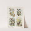 Vlinders (1875-1919) by Emrik & Binger