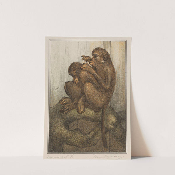 Vlooiende apen by Theo van Hoytema