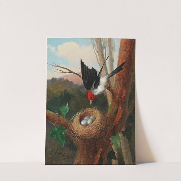 Vogel Bei Seinem Nest by Michelangelo Meucci