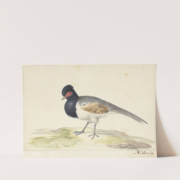 Vogel met grijze staartveren, zwarte kop met rode vlek, naar links by Nicolaas Struyk