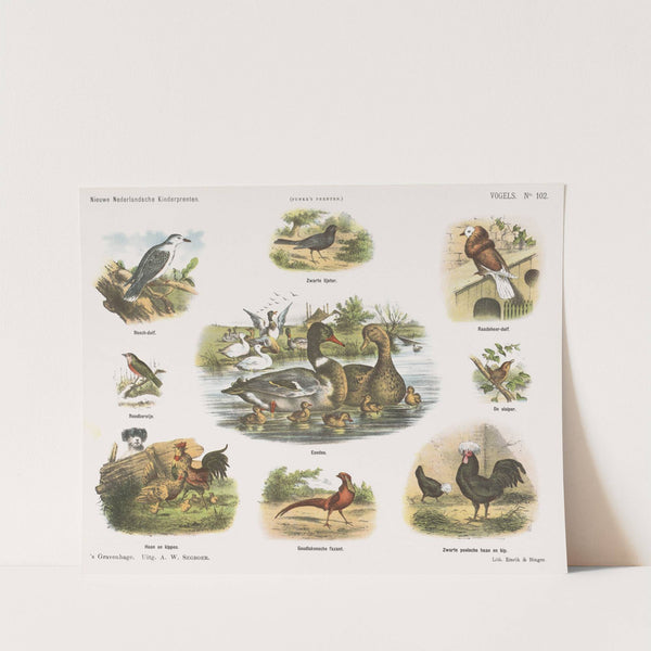 Vogels (1875-1919) by Emrik & Binger