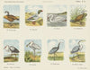 Vogels (1875-1919)