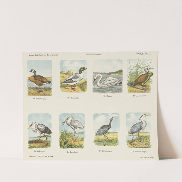 Vogels (1875-1919) by Emrik & Binger