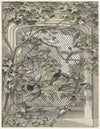 Volière met veertien vogels