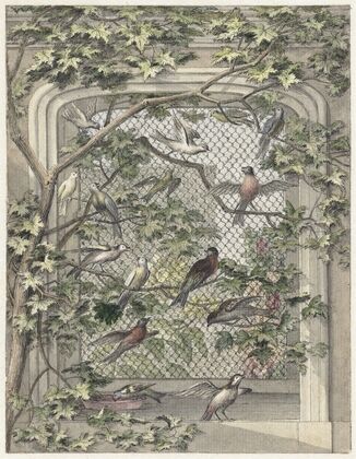 Volière met veertien vogels