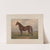 Volunteer; The greatest living trotting sire (1881-1882) by Henry Stull