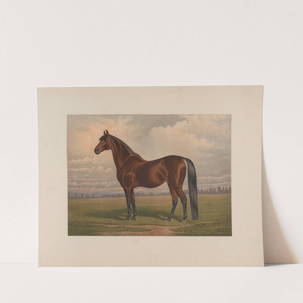 Volunteer; The greatest living trotting sire (1881-1882) by Henry Stull