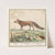 Vos (Vulpes vulpes) Vos. Vulpes. Renard (1596-1610) by Anselmus Boëtius de Boodt