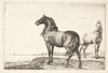 Vrinskende hest