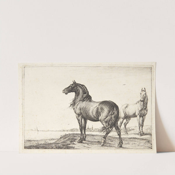 Vrinskende hest by Paulus Potter