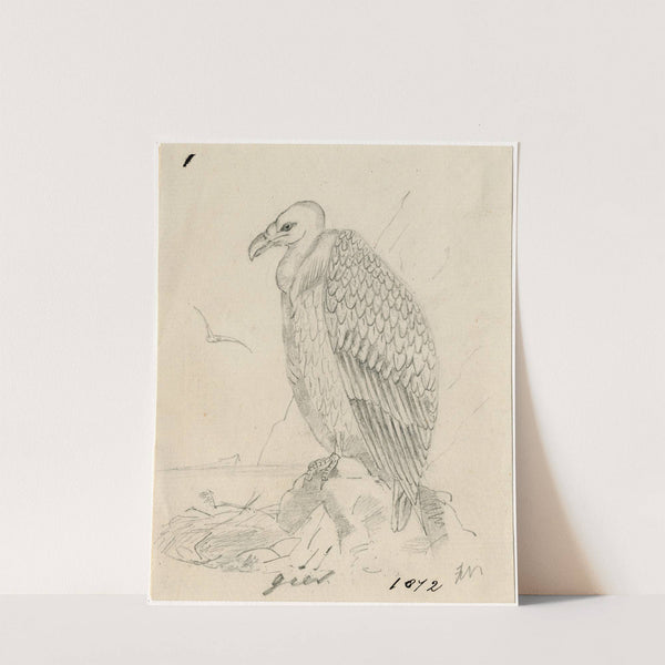 Vulture (1872) by Floris Verster