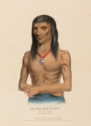 Wa-Bish-Kee-Pe-Nas. The White Pigeon. A Chippewa