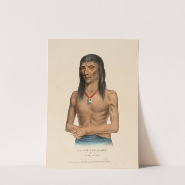 Wa-Bish-Kee-Pe-Nas. The White Pigeon. A Chippewa (1837) by Charles Bird King