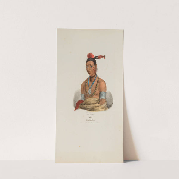 WA-KAUN or the Snake; A Winnebago Chief (1835) by James Otto Lewis