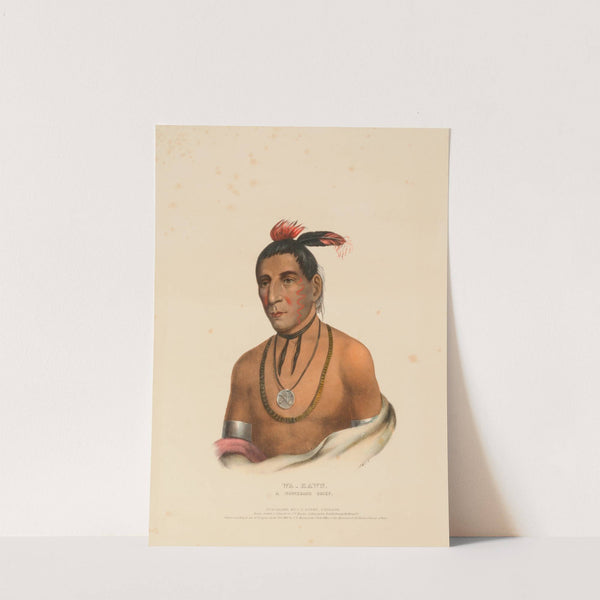 Wa-Kawn, A Winnebago Chief (1841) by Charles Bird King
