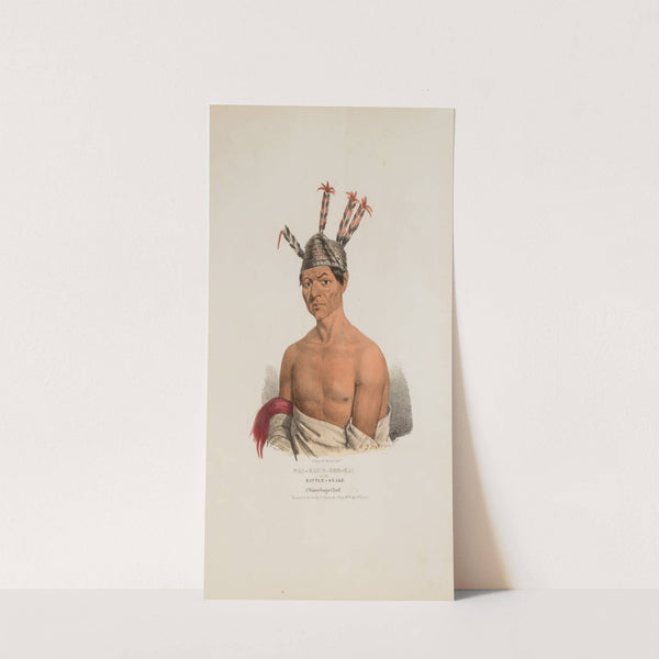 WAA-KAUN-SEE-KAA or the Rattle Snake; A Winnebago Chief (1835) by James Otto Lewis