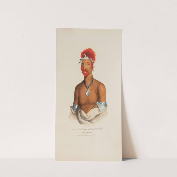 WAA-PA-LAA or the Playing Fox; Prince of the Fox Tribe (1835) by James Otto Lewis