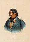 Waa-Pa-Shaw. A Sioux Chief