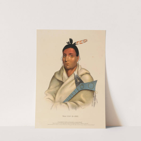 Waa-Top-E-Not (1843) by Charles Bird King