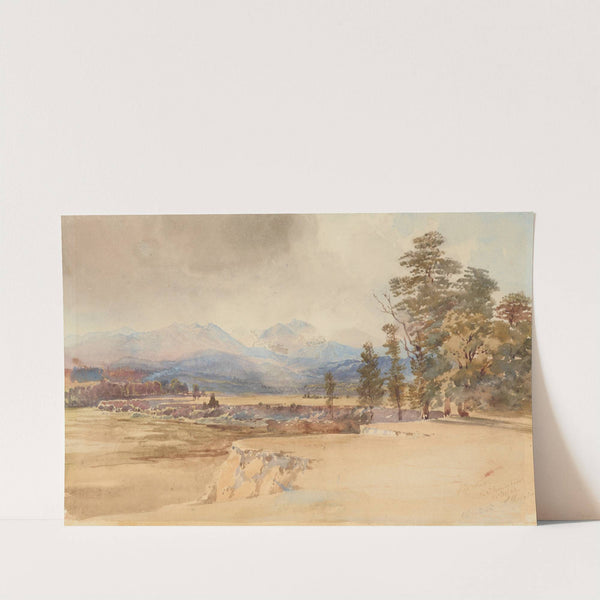 Waipoua by Nicholas Chevalier