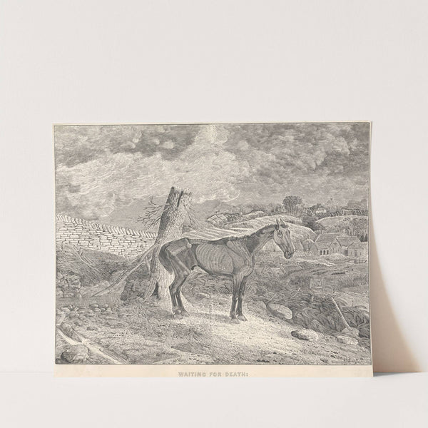 Waiting for Death by Thomas Bewick