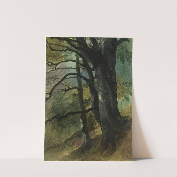 Waldausschnitt (ca. 1830–1850) by Friedrich August Matthias Gauermann